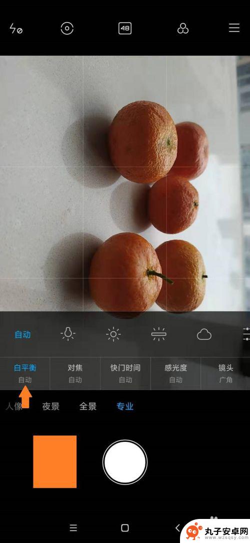 小米手机相机偏黄怎么设置 小米手机专业模式拍照技巧