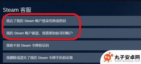 steam帐号名称忘了怎么办 Steam账户名字忘记找回方法