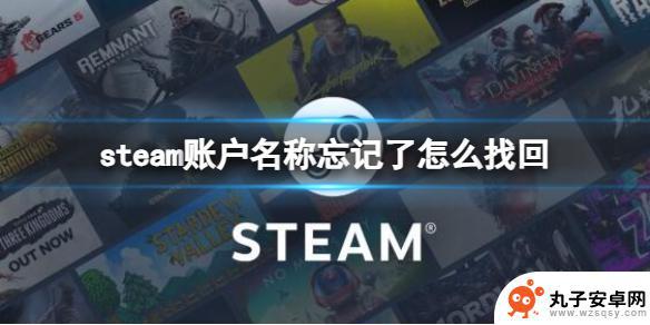 steam帐号名称忘了怎么办 Steam账户名字忘记找回方法