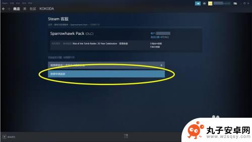 steamdlc能退款吗 Steam购买的DLC退款政策