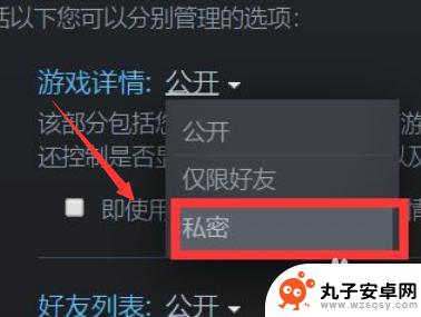 steam怎么隐藏自己的游戏记录 Steam怎样隐藏正在玩的游戏