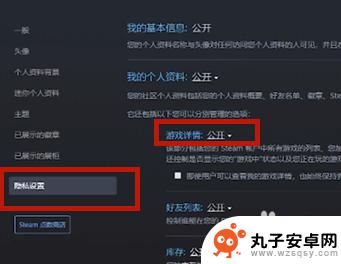 steam怎么隐藏自己的游戏记录 Steam怎样隐藏正在玩的游戏