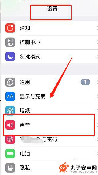 苹果6s手机话筒声音越来越小怎么办 iPhone手机外放音量设置教程