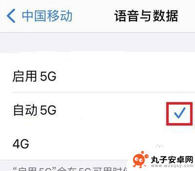 苹果手机4g改5g怎么设置 如何在苹果手机上设置4G变5G