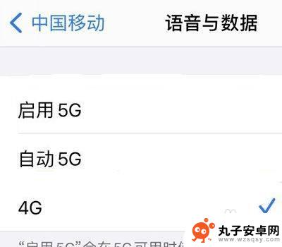 苹果手机4g改5g怎么设置 如何在苹果手机上设置4G变5G