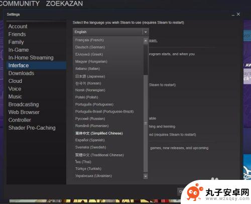 steam怎么换成中文的 steam中文界面怎么设置