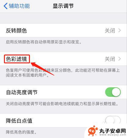 苹果手机黑白滤镜怎么调 iphone黑白屏怎么办