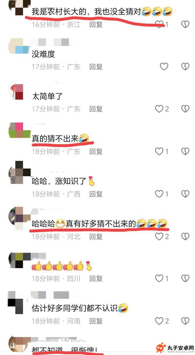 叶子猜农作物引发网友热议，很多人表示不认识