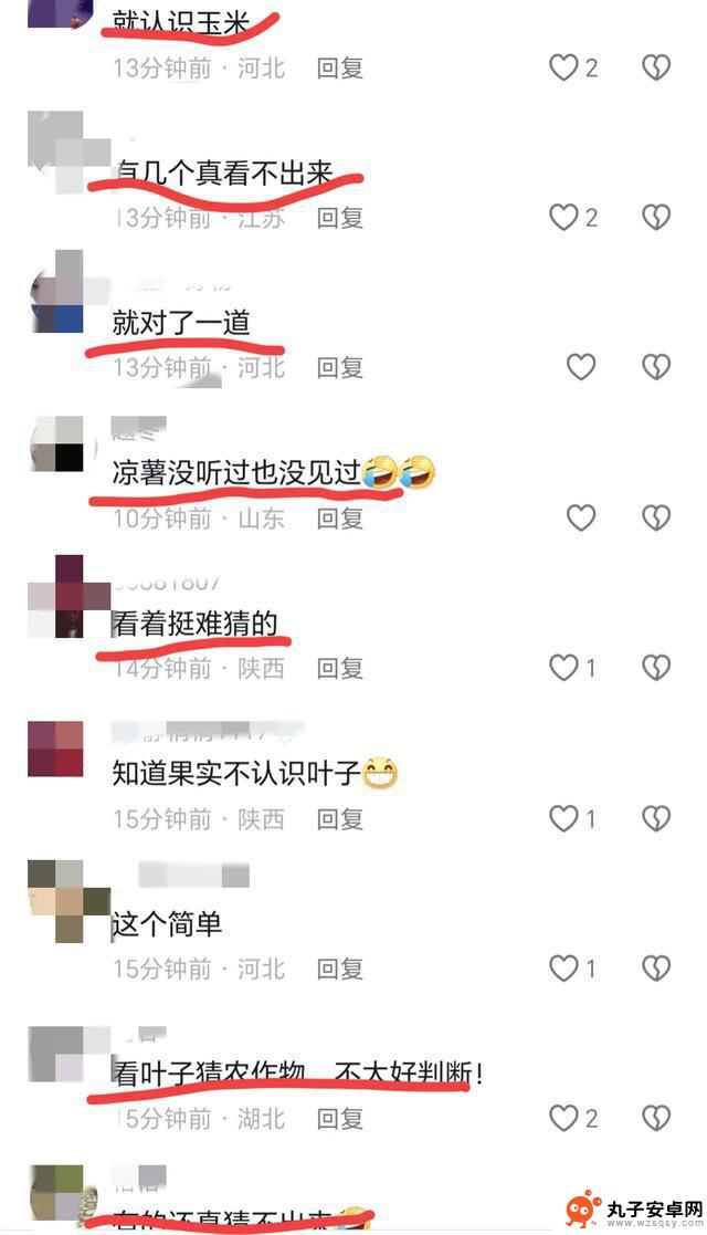 叶子猜农作物引发网友热议，很多人表示不认识