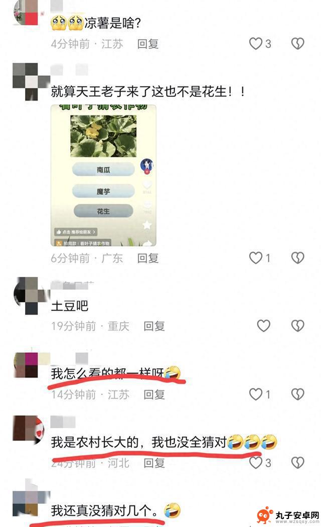 叶子猜农作物引发网友热议，很多人表示不认识