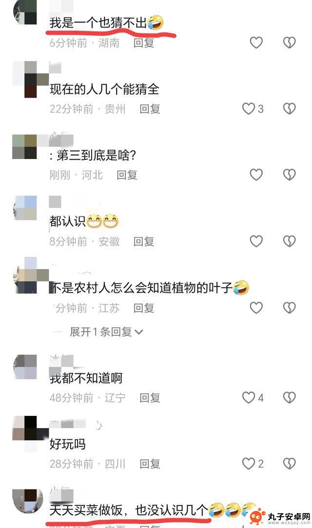 叶子猜农作物引发网友热议，很多人表示不认识