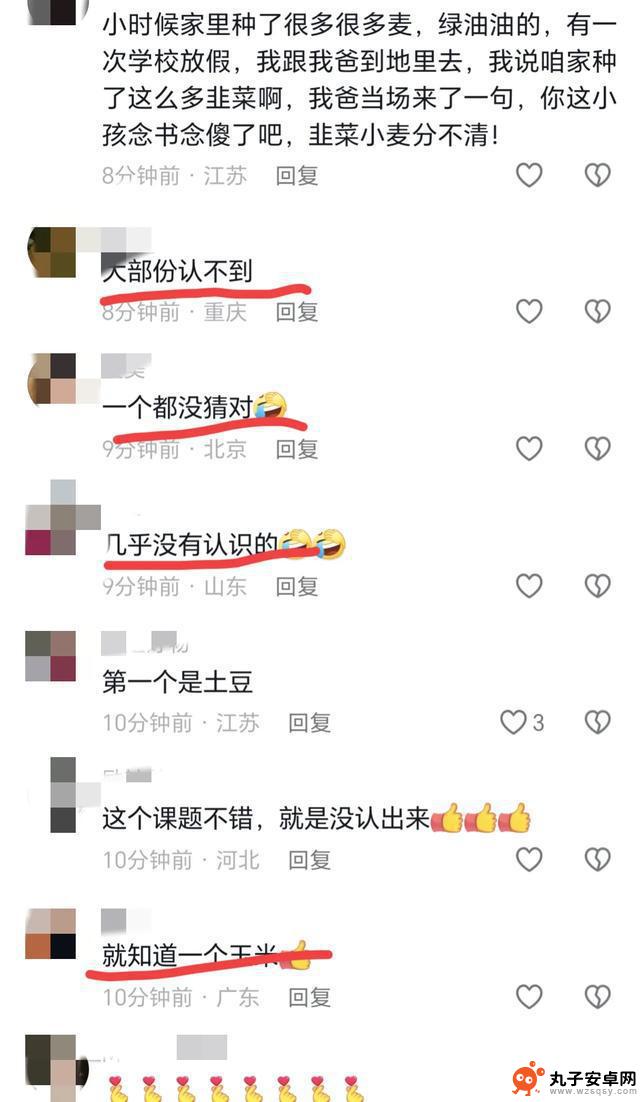 叶子猜农作物引发网友热议，很多人表示不认识