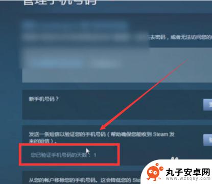 怎么看steam绑定的手机账号 Steam手机令牌绑定已几天了怎么查