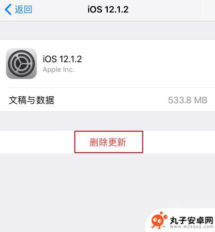 苹果手机设置红点怎么清除 iOS 更新设置小红点无法去除