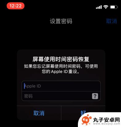 把手机应用锁起来 苹果iPhone手机如何设置APP锁密码