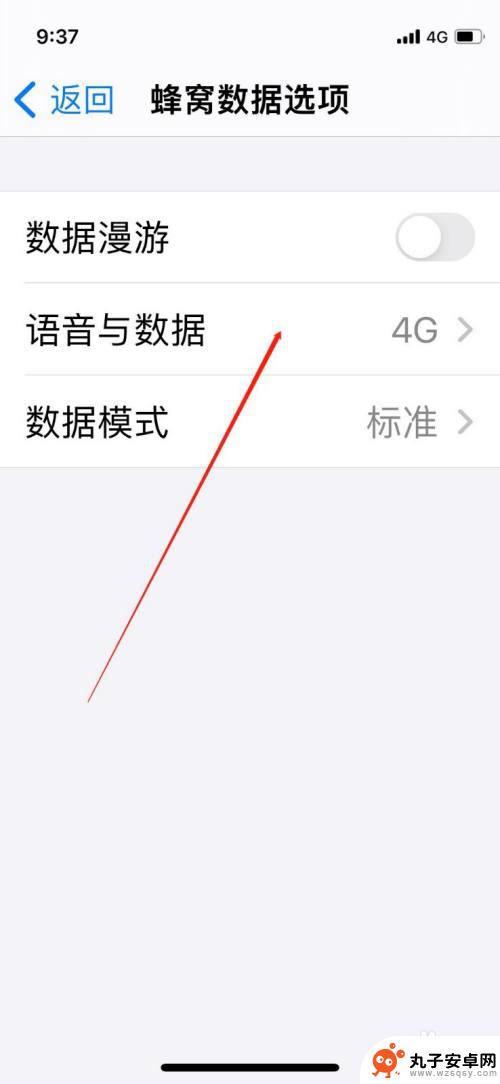 苹果手机在哪里打开5g网络 iPhone手机怎样开启5g连接