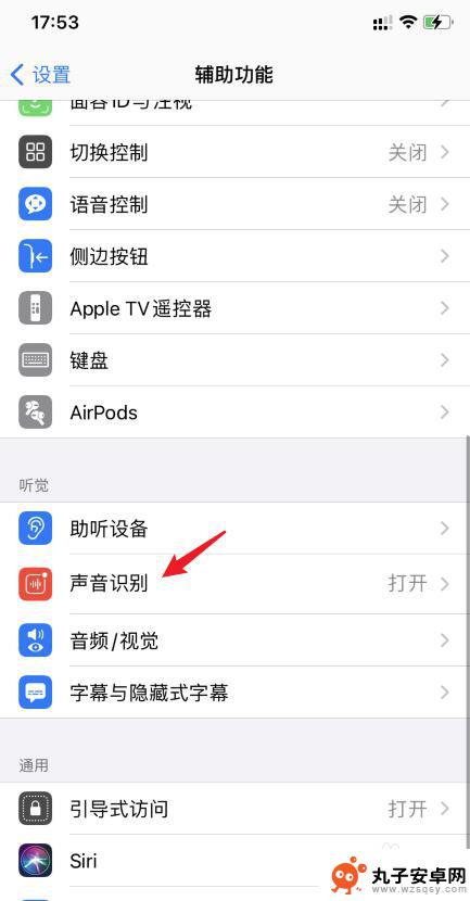 手机识别声音功能怎么关闭 如何在苹果iOS14中关闭声音识别功能