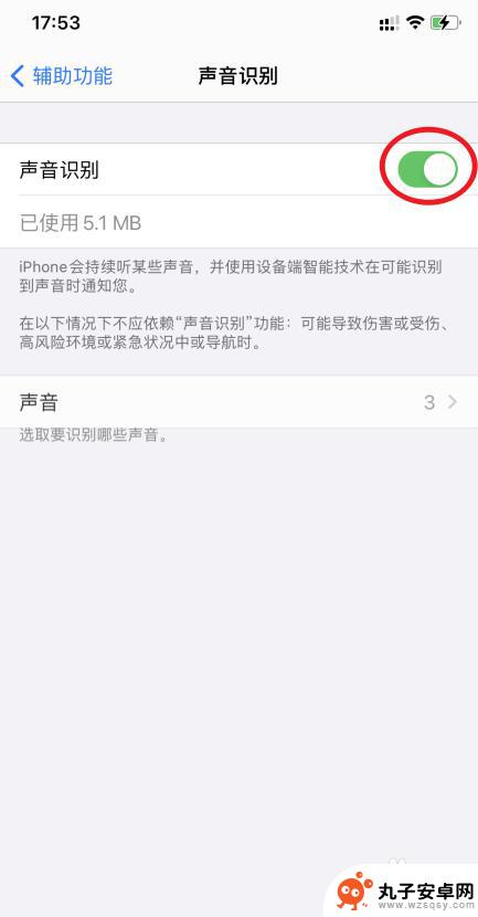 手机识别声音功能怎么关闭 如何在苹果iOS14中关闭声音识别功能