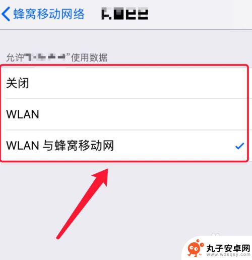 如何限制苹果手机流量使用 苹果手机流量使用限制设置