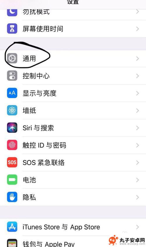 手机上设置只可打开一个软件 iPhone手机如何限制只能使用一个应用