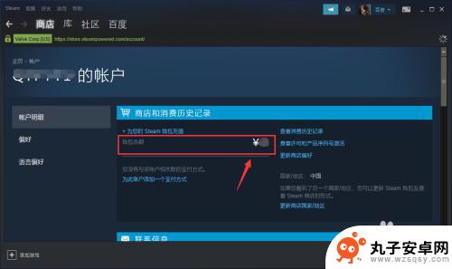 steam钱包如何解锁 Steam账户中的钱包余额怎么查看