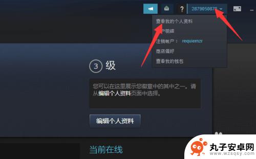 steam 17位url Steam怎么查看17位数字ID