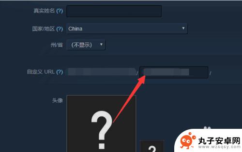 steam 17位url Steam怎么查看17位数字ID