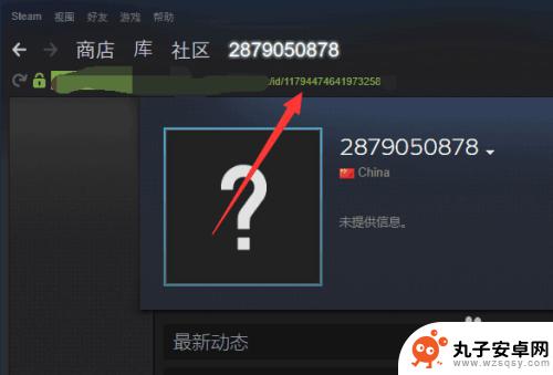 steam 17位url Steam怎么查看17位数字ID