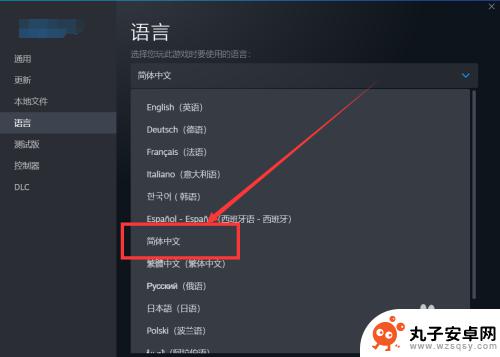 steam的侠盗怎么设置中文 GTA4怎么在Steam上调成中文