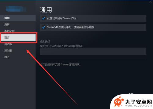 steam的侠盗怎么设置中文 GTA4怎么在Steam上调成中文