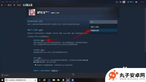 steam 怎么隐藏成就 怎样隐藏steam上的成就动态