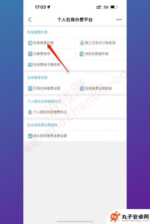 手机上怎么医疗交费 合作医疗手机缴费流程