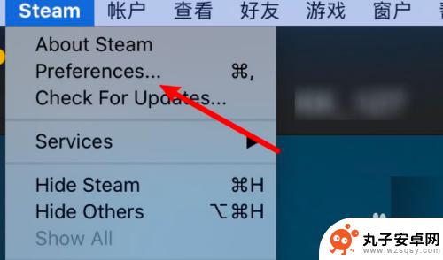 steam图标太小 Steam如何设置库界面显示大图标