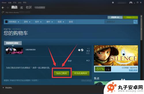 steam游戏价格几类 在Steam上找到价格最便宜的游戏的技巧