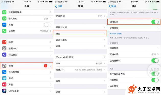 语音字母设置怎么关闭手机 禁用iPhone键盘的听写功能