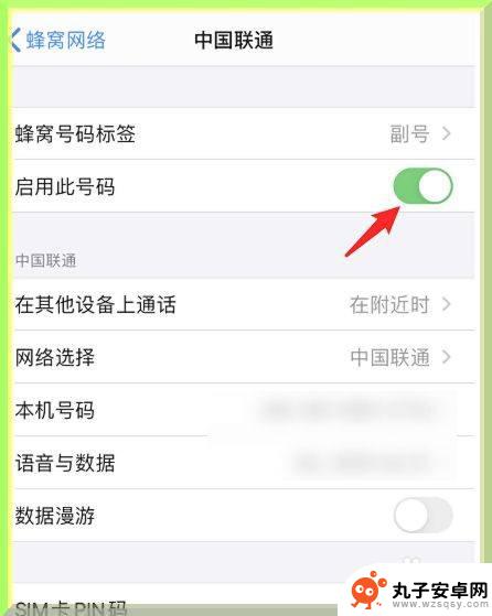 苹果手机怎么禁用卡槽 iPhone手机双卡如何关闭一张卡