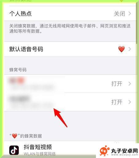 苹果手机怎么禁用卡槽 iPhone手机双卡如何关闭一张卡