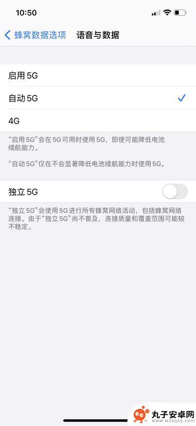 苹果手机打开5g开关在哪里 苹果手机5G开关在哪里设置