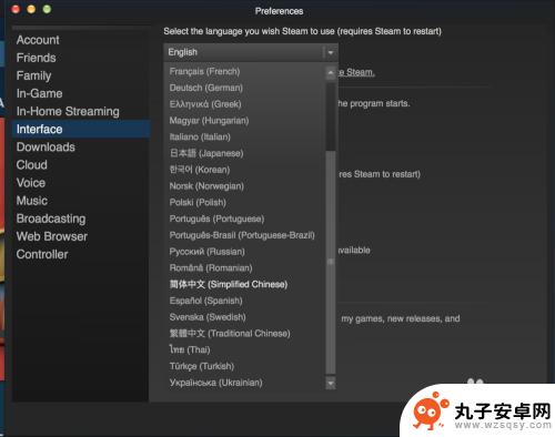 steam苹果中文 Mac Steam 中文语言设置方法