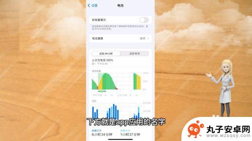 苹果手机设置电量怎么隐藏 应用的耗电详情如何隐藏