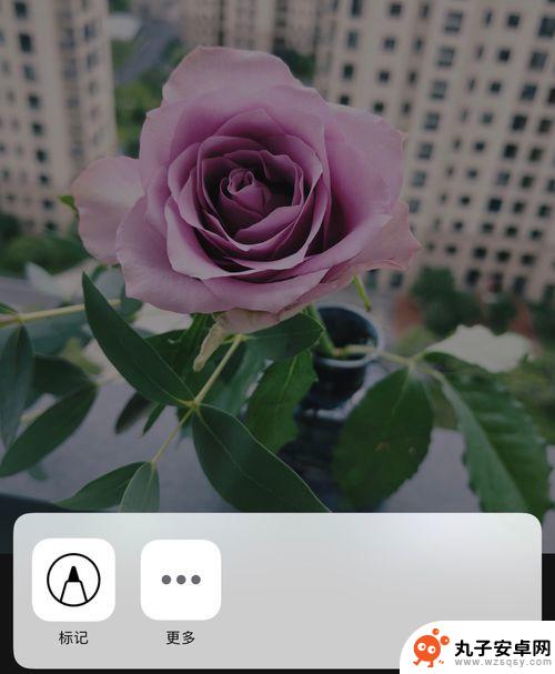 怎样在手机图片上画圈标记 苹果手机怎么在照片上画圈标记