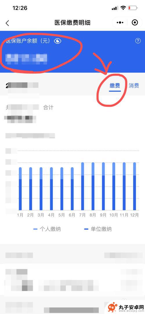 手机医疗保险如何查询余额 手机怎么查看医保卡余额