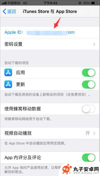 怎么取消手机app付费 苹果App Store怎么取消付费应用