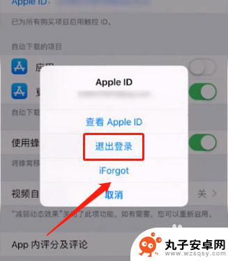 如何解绑苹果手机id 如何解除iPhone绑定的Apple ID号码