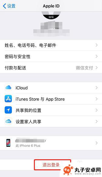 苹果手机怎么退出登录id账号 Apple ID退出登录步骤