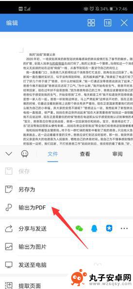 手机doc怎么转化为pdf 手机WPS如何将doc文档转换为PDF文档