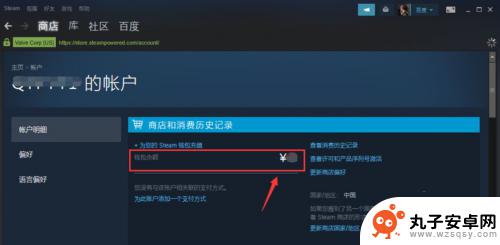 steam的余额怎么算的 steam账户里的余额怎么查看