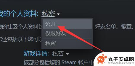 steam的公开 steam资料怎么查询和公开