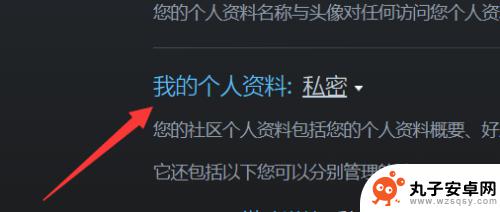 steam的公开 steam资料怎么查询和公开