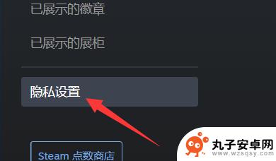 steam的公开 steam资料怎么查询和公开